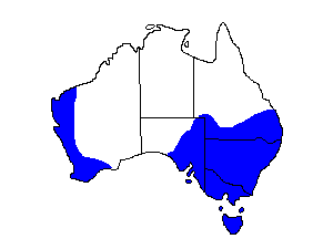 Image of Range of Blue-billed Duck
