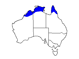 Image of Range of Chestnut-backed Buttonquail