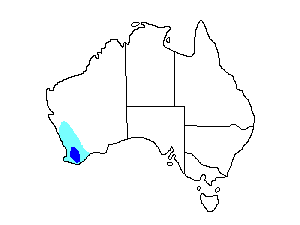 Image of Range of Baudin's Black-Cockatoo