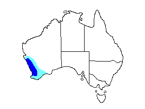 Image of Range of Short-billed Black-cockatoo