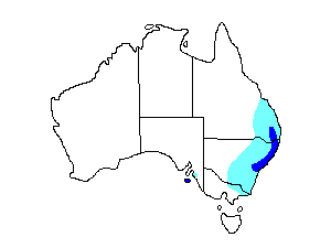 Image of Range of Glossy Black-cockatoo