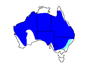 Image of Range of Cockatiel