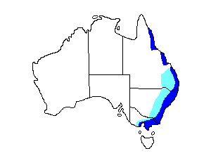 Image of Range of Australian King-parrot