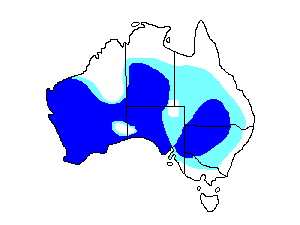 Image of Range of Australian Ringneck