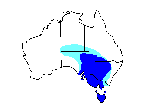 Image of Range of Blue-winged Parrot