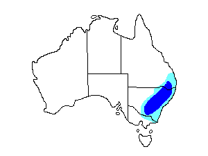 Image of Range of Turquoise Parrot