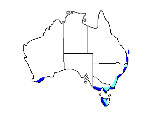 Image of Range of Ground Parrot