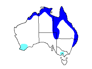 Image of Range of Australasian Grass-Owl