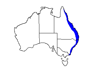 Image of Range of Brown Cuckoo-dove