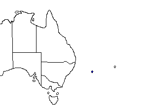 Image of Range of Lord Howe Woodhen