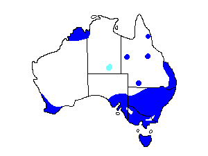 Image of Range of Australian Spotted Crake