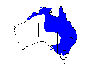 Image of Range of Australian Painted Snipe
