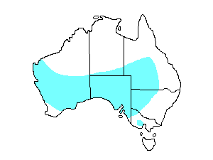 Image of Range of Inland Dotterel