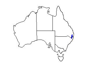 Image of Range of Albert's Lyrebird