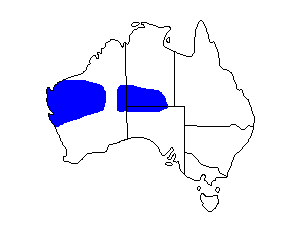 Image of Range of Western Bowerbird