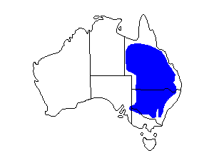 Image of Range of Spotted Bowerbird
