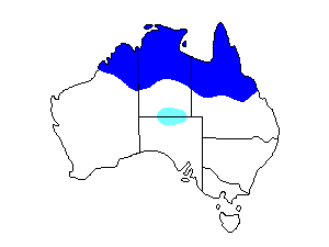 Image of Range of Great Bowerbird