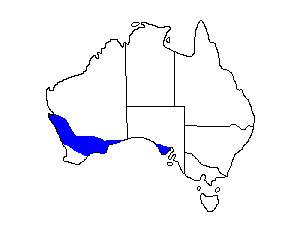 Image of Range of Blue-breasted Fairy-wren