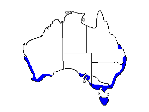 Image of Range of Southern Emu-wren