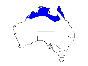 Image of Range of Silver-crowned Friarbird