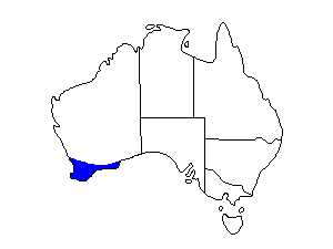 Image of Range of Western Wattlebird