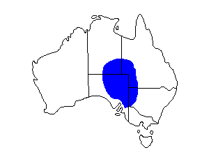 Image of Range of Gibberbird