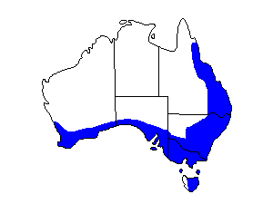 Image of Range of Spotted Pardalote