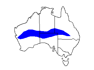 Image of Range of Slaty-backed Thornbill