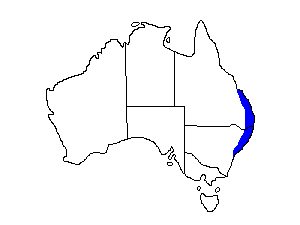 Image of Range of Australian Logrunner