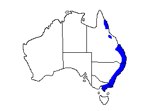 Image of Range of Eastern Whipbird
