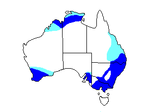 Image of Range of Eastern Shrike-tit
