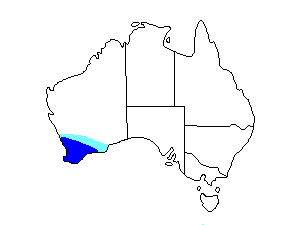 Image of Range of Western Shrike-tit