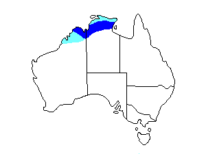 Image of Range of Northern Shrike-tit