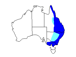 Image of Range of Pied Currawong