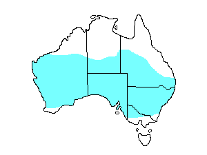 Image of Range of White-backed Swallow