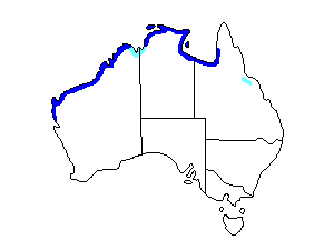 Image of Range of Australian Yellow White-eye