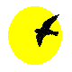 Image of Birdpedia Logo